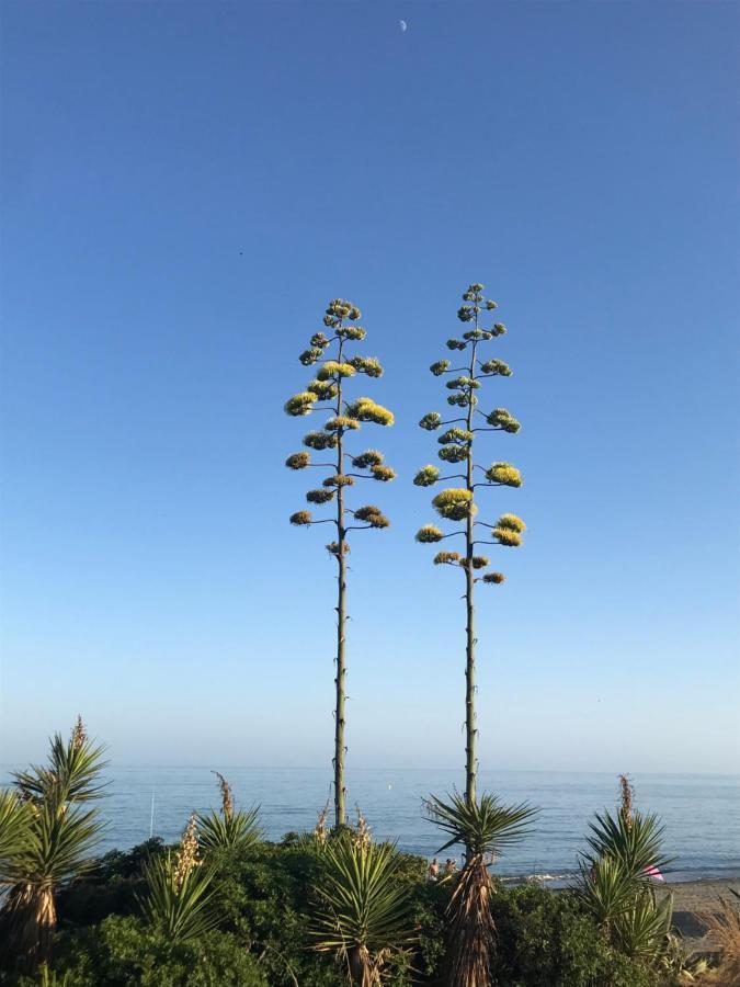 Marbella - Estepona Beach Frontline Apartment 외부 사진